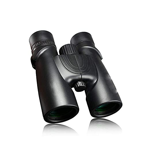 Jumelles pour camping et activités outdoor avec vision nocturne et clarté télescope HD 10X42