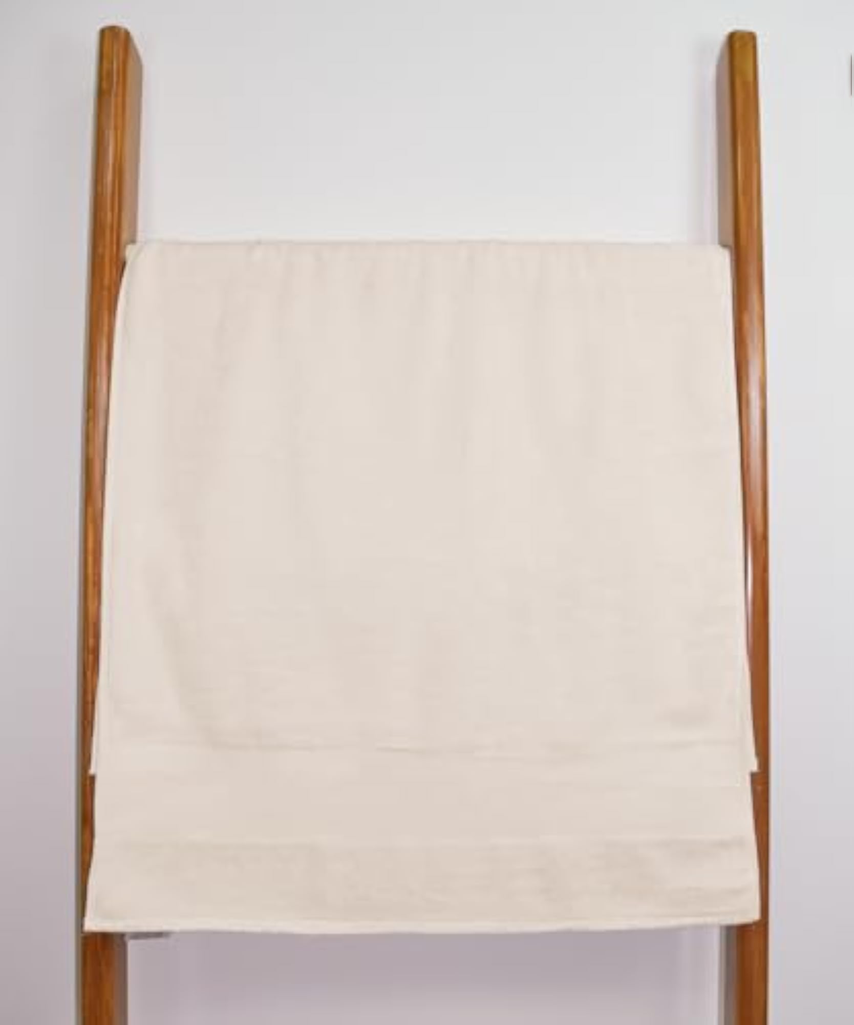 Dual-Pack Earthly Egyptian Cotton Plush Bath Sheet