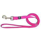 Hamilton Single Thick Nylon Dog Lead, 1-Inch by 6-Feet, Hot Pink