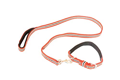 Furry Angels Cotton Padded Soft Collar and Matching Leash Set for Large Breed Dogs -(Size - XL), Length - 55 inches (Color - Red) (B08P9R9R9Y) Amazon Price History, Amazon Price Tracker