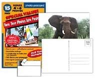 Make-Your-Own 4x6 Photo Postcards; 12+3 Pack