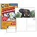 Make-Your-Own 4x6 Photo Postcards; 12+3 Pack