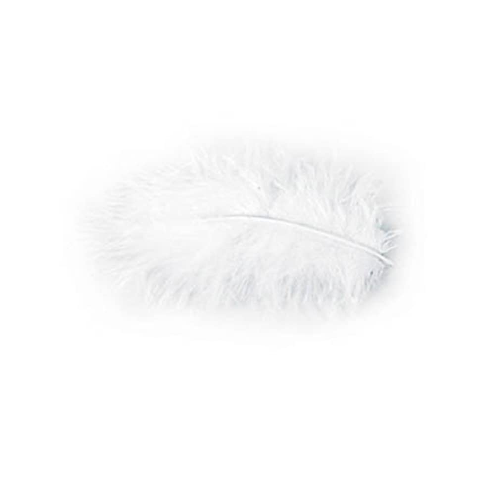Chaks Costumes et Mariage Chaks 0702-00 Bag of 10 g Feathers, 5-10 cm, White by