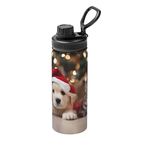   Č 500ml XeX{g }O{g  L[nht ^ѕ֗ RpNg ۉۗ