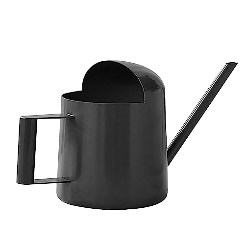 Regadera de cuello largo, regadera de acero inoxidable para plantas, 10 onzas, hervidor de riego para plantas pequeñas en maceta Chuni-uk