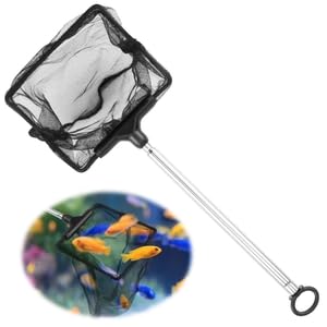 10cm Filet pour la pêche en Aquarium avec 16 à 40 cm Poignée Extensible, Aquarium Petit Épuisette, Télescopique Epuisette Aquarium Maille pour Aquariums...