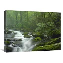 18 x 24 in. Roaring Fork River Flowing Through Forest in Great Smoky Mountains National Park, Tennessee Art Print - Tim Fitzharris