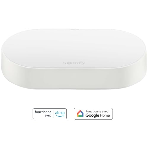 Kit Connectivité Somfy 1870755 : Contrôler votre maison Kit Connectivité Somfy 1870755 : Contrôler votre maison