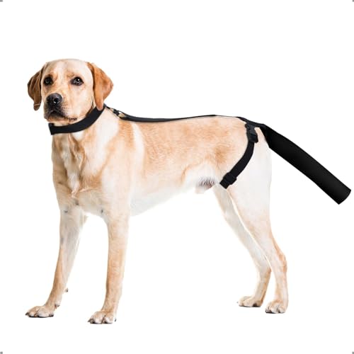 OHCOZZY Adjustable Dog Tail Protector for Wounds Tail Cover Recovery Sleeve for Medium and Large Dogs Anti Licking(M Black)