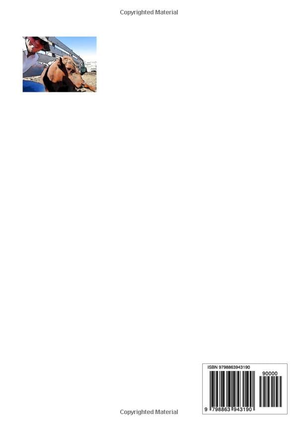 Miniatura 2 de José the Blind Red Angus Bull Calf