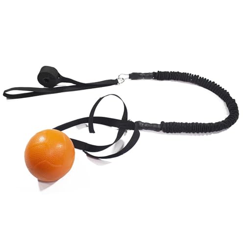 Pelota de ejercicio corporal para entrenar sin salir de casa y tonificar la musculatura 7