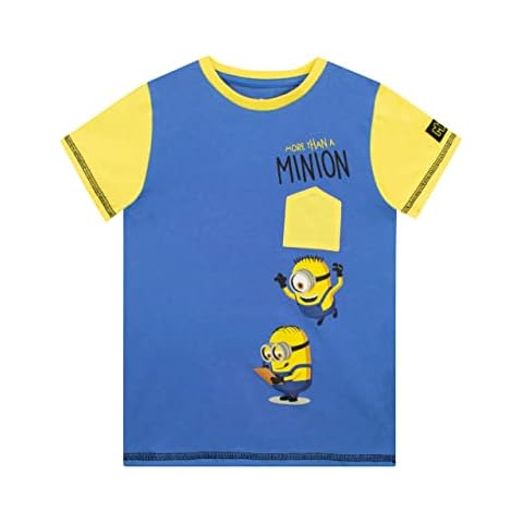 MINIONS Boys T-Shirt Blue 4-5 Years Cover