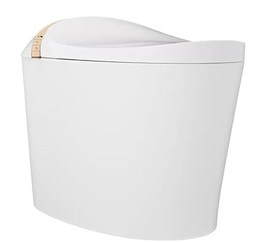 DeerValley White Dual Flush Elongated Standard Height Smart Soft Close 1-piece Bidet 12-in Rough-In 1.28 GPF