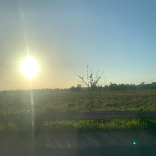 Episodio 374- El podcast de Luismiguel Rosa manzanillo