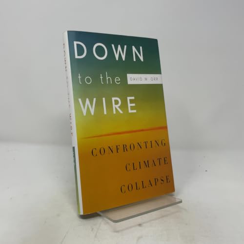 Down to the Wire: Confronting Climate Collapse view 2