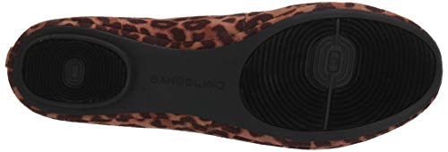 Image of Bandolino Edition 8