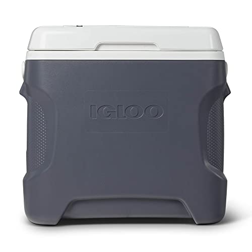 Top 10 Igloo Mini Compact Refrigerator of 2022 Katynel