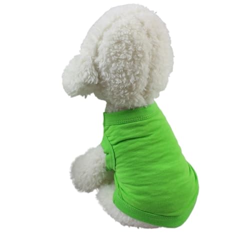 ybgxXg pVc ėp  n ^ ^ ^p 2Zbg(Green 2,XS)