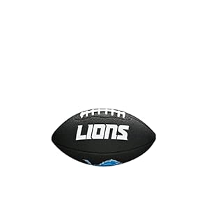 WILSON Sporting Goods NFL Detroit Lions Team Logo Football , Black, Mini Size