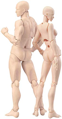 AXXHOTHO Body Kun   Maniquí articulado con cabeza de bloque, maniquí articulado, juego de figuras para modelo masculino y femenino (color piel)