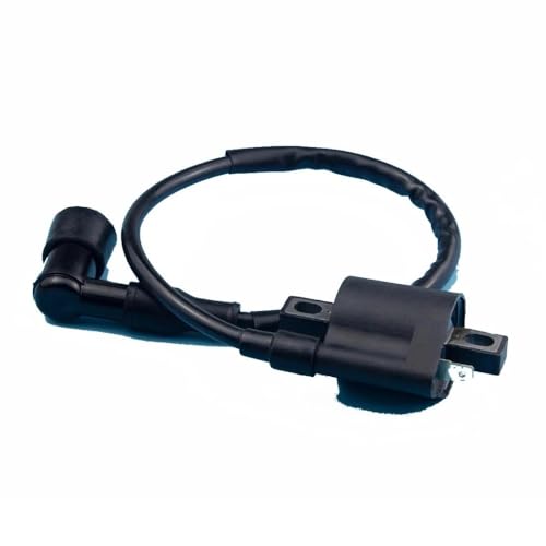 Bobina de encendido para ATV y Quad de 4 ruedas de 150cc 200cc 250cc CG