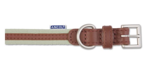 Dog Collars
