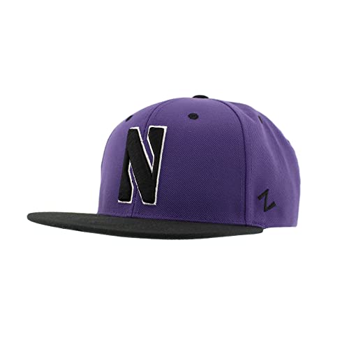 Northwestern Wildcats NCAA Officially Licensed Snapback Hat Flat Brim Z11