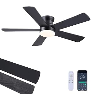 Ayaoty Ceiling Fans with Lights – 48″ Black Flush Mount Ceiling Fan Light with 6 Speeds 3CCT Dimmable, Revesible Motor, Low Profile Fan Light for Modern Indoor Bedroom, Kitchen