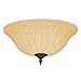 Hunter 99157 Tea Stain Bowl Light Kit