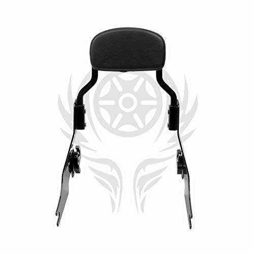 Detachable Sissybar Fits For Harley Sportster Xl 1200/ Iron 883/ Forty-Eight/Seventy-Two Chop Style 2004-2022 (Gloss Black) #TOP1