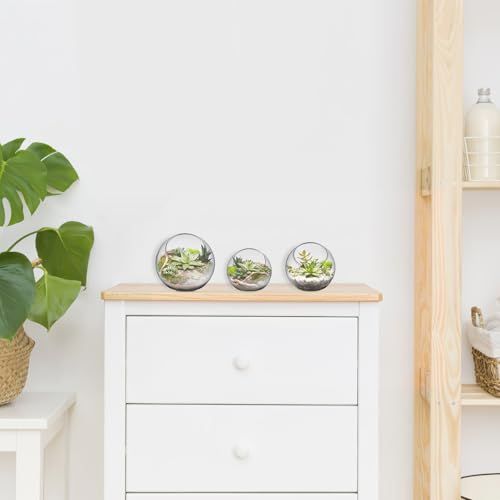 Image of balacoo 3 Pcs Glass Terrariums Bowl for Plants, Terrarium Jar for Air Plant Clear Globe Vase Glass Bowl for Home Desktop Decor | Modern slant-cut design adds elegance to home or office. Transparent glass displays succulents and moss for a stunning view.