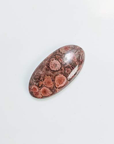 Aaa+ Bird Eye Cabochon,Oval Shape Designer Eye Bird Agate Loose Gemstone,Jewelry Making Eye Bird Gemstone,Size 32X16X5Mm #TOP1