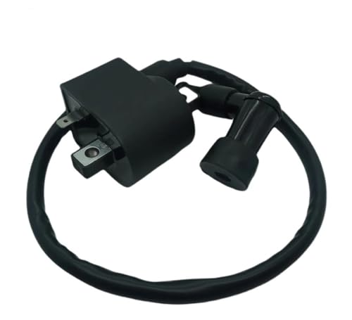 Bobina de encendido soluciona fallos de arranque en motos 2t AX100 y FR80 3