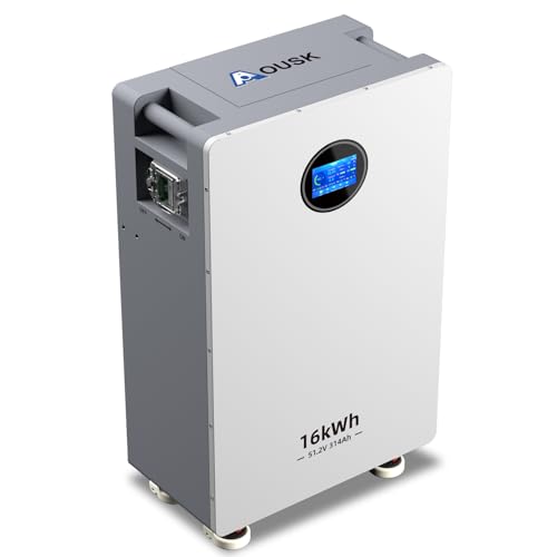 AOUSK 48V 314Ah Lifepo4 16.07kWh Lithium Battery