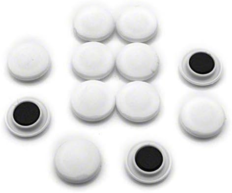 MAGNET Expert Ltd 30 x 8mm Medium Notice Board/Planning Magnets for Office and Fridge - White (Pack of 12)