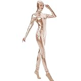 FASHION QUEEN 17 Colors Lady Open Face Masked Zentai Sexy Dancing Hooded Unitard (Rose Gold,M)