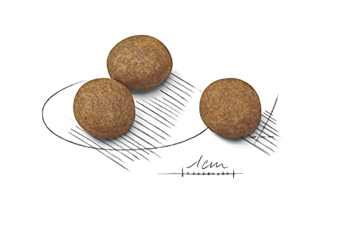 Royal Canin 35230 Maxi Junior 4 kg- Hundefutter