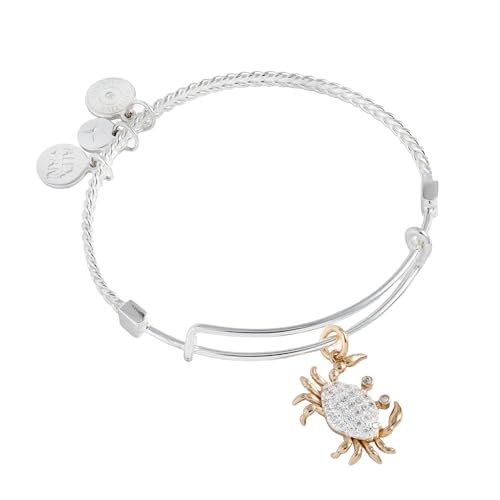 Alex and Ani Anchor Decorative EWB