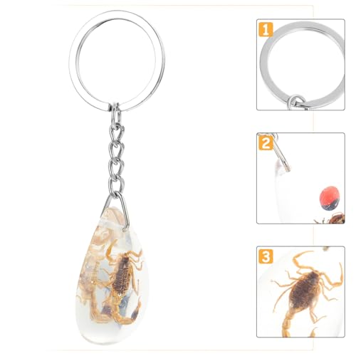 Image of balacoo Insect Specimen Keychain- 12Pcs Creative Insect Amber Specimen Pendant, DIY Key Ring