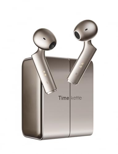 Timekettle W4 AI Translation Earbuds Real Time for Noisy Business