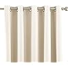GAIFNAG Tenda Oscurante Ad Anelli Per Finestra 100 X 50 Cm Isolanti Termiche, Poliestere Con