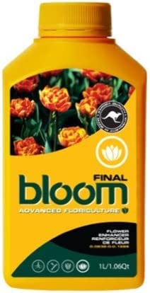 Bloom Yellow Bottles Final 2.5 lt