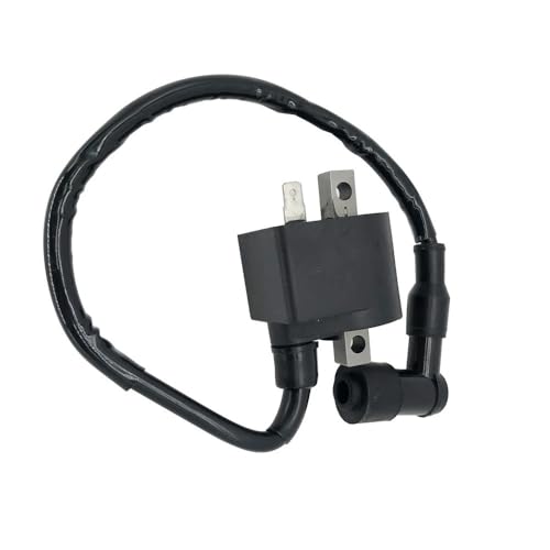 Bobina de encendido para motocicletas quad ATV LT 50, LT-A50 y motos de cross JR50