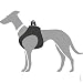 HUNTER Hundegeschirr Hilo, Farbe: schwarz, für kleine und kopfscheue Hunde, weiches Leder, gepolstert mit atmungsaktivem Mesh-Material, pflegeleicht und strapazierfähig, Made in Germany, Größe: XS