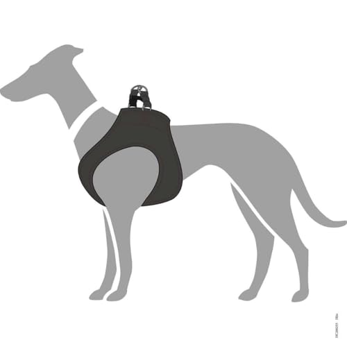HUNTER Hundegeschirr Hilo, Farbe: schwarz, für kleine und kopfscheue Hunde, weiches Leder, gepolstert mit atmungsaktivem Mesh-Material, pflegeleicht und strapazierfähig, Made in Germany, Größe: XS