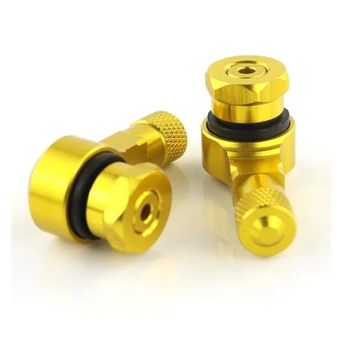 I[goCp ou ou XYLp nuTp GSX1300R oCNp Oփ`[uX^CouXe(S[h)