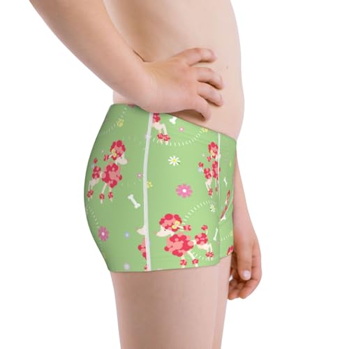 Boys' Cotton Boxer Brief Soft Underwear-Cute Poodle Dog2