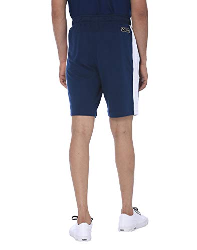 puma one 8 shorts