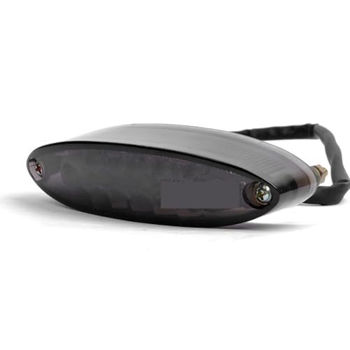 Feu arrière frein de moto défectueux ? Remplacez-le par ce bloc 12V avec éclairage plaque