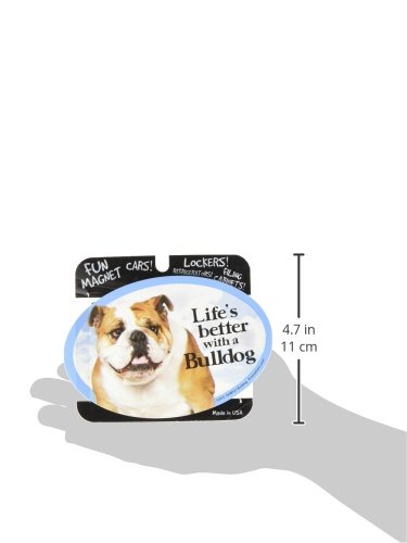 Imán Decorativo Bulldog para Gato y Perro miniatura 2